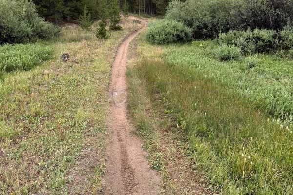 Snyder Creek Loop