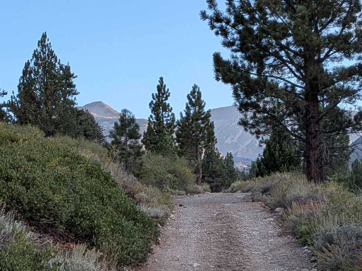 Willow Flat Road Burt Canyon - FS 32066C photo 6