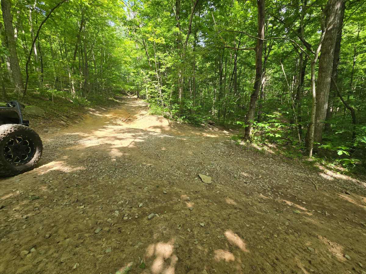 Trail 1 photo 2