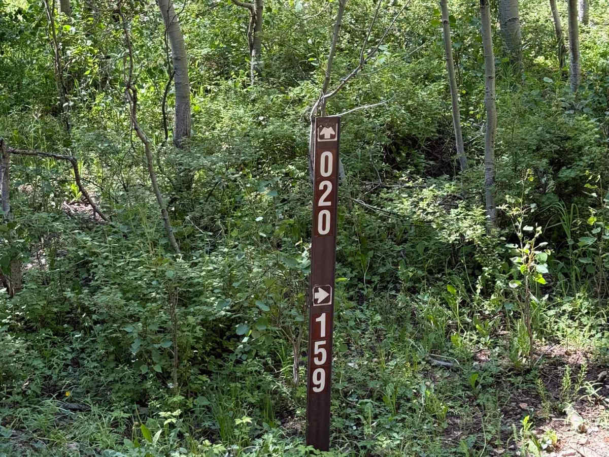 Spring Creek Trail No. 159 photo 2