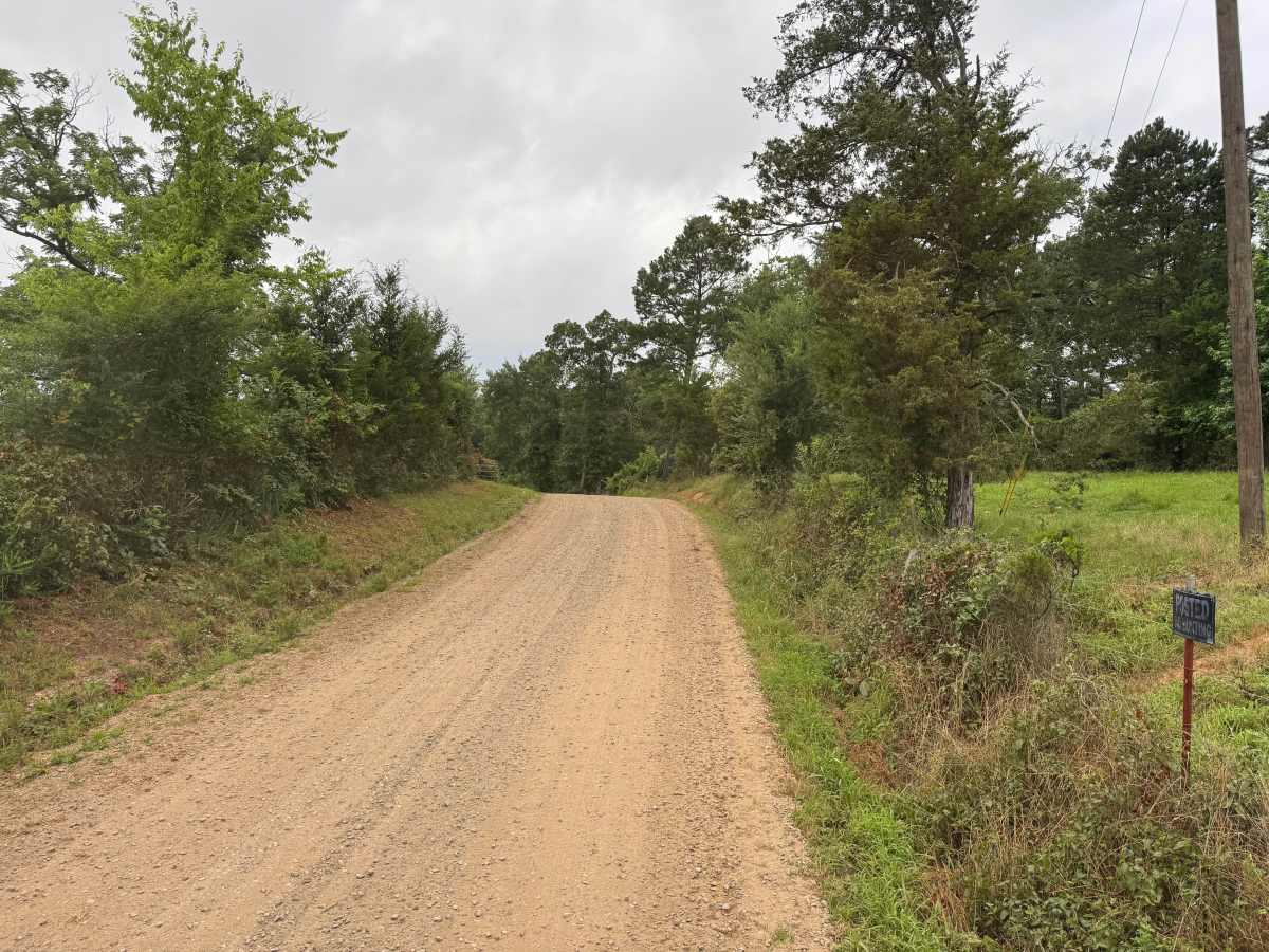 County Road 3290 photo 4