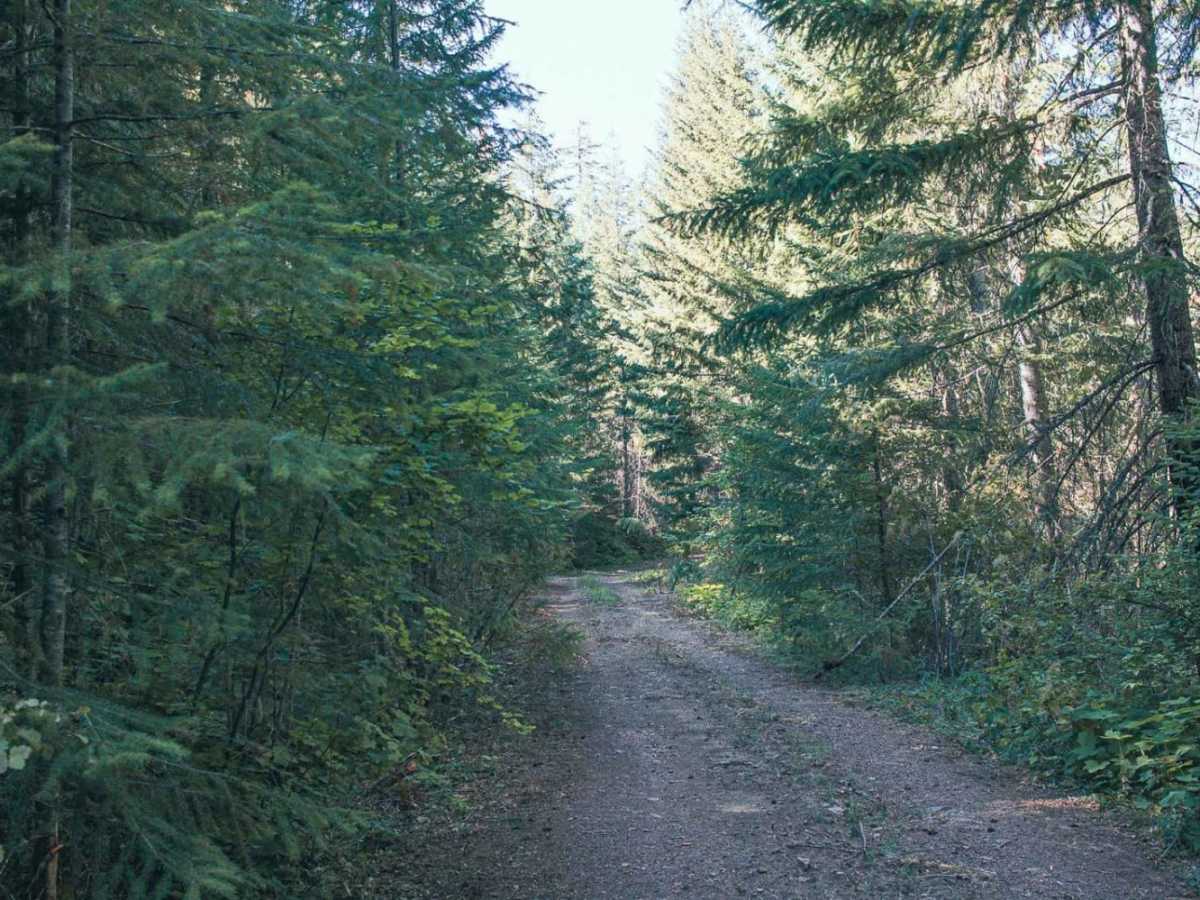 Panther Ridge photo 6