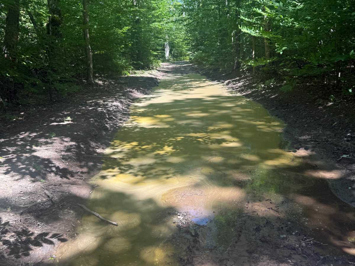 Big 4-Norconk Connector Trail trail photo