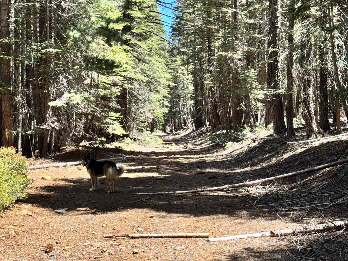 Colby Loop - FS 27N06B photo 5