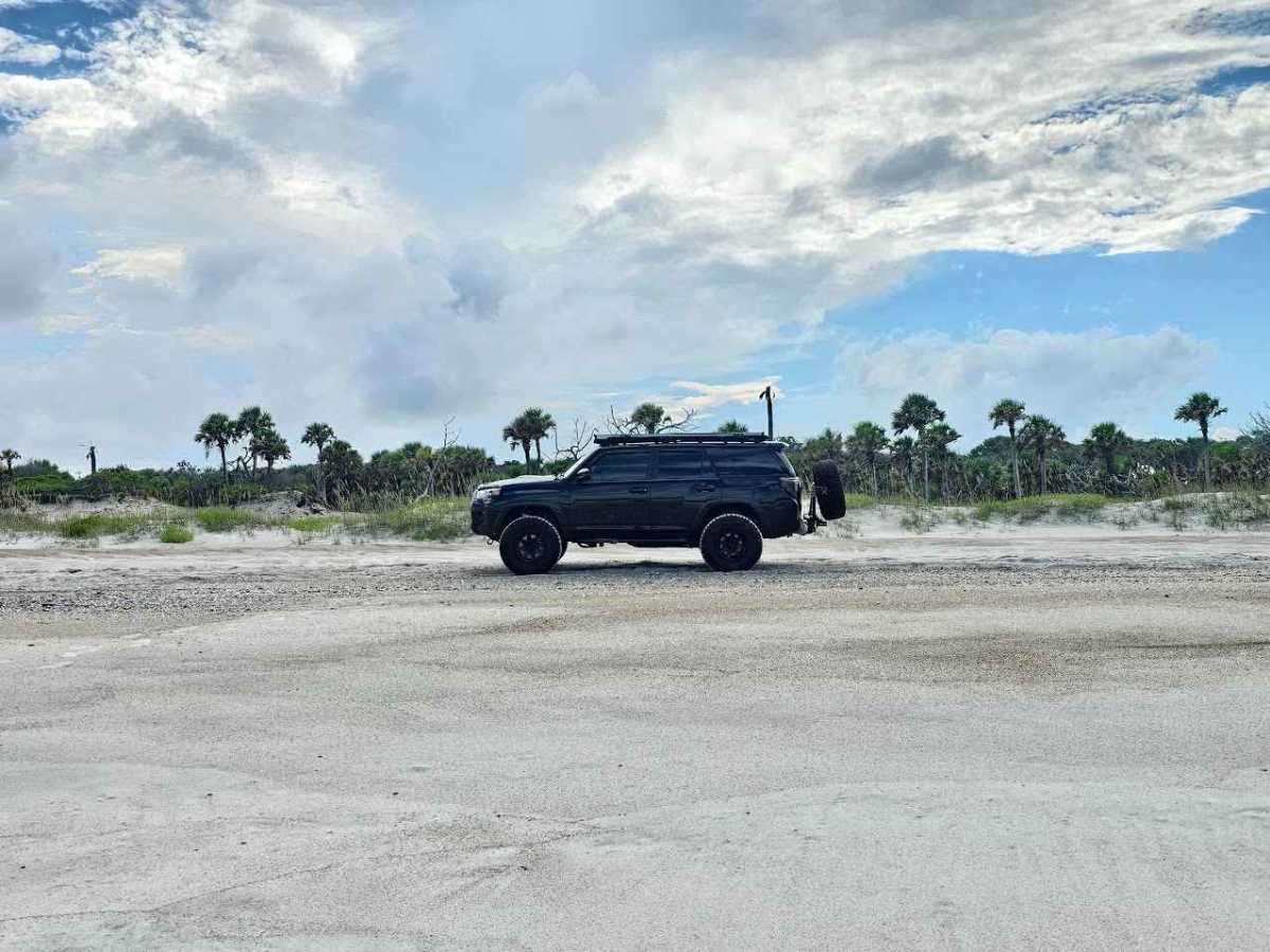 Amelia Island State Park photo 6