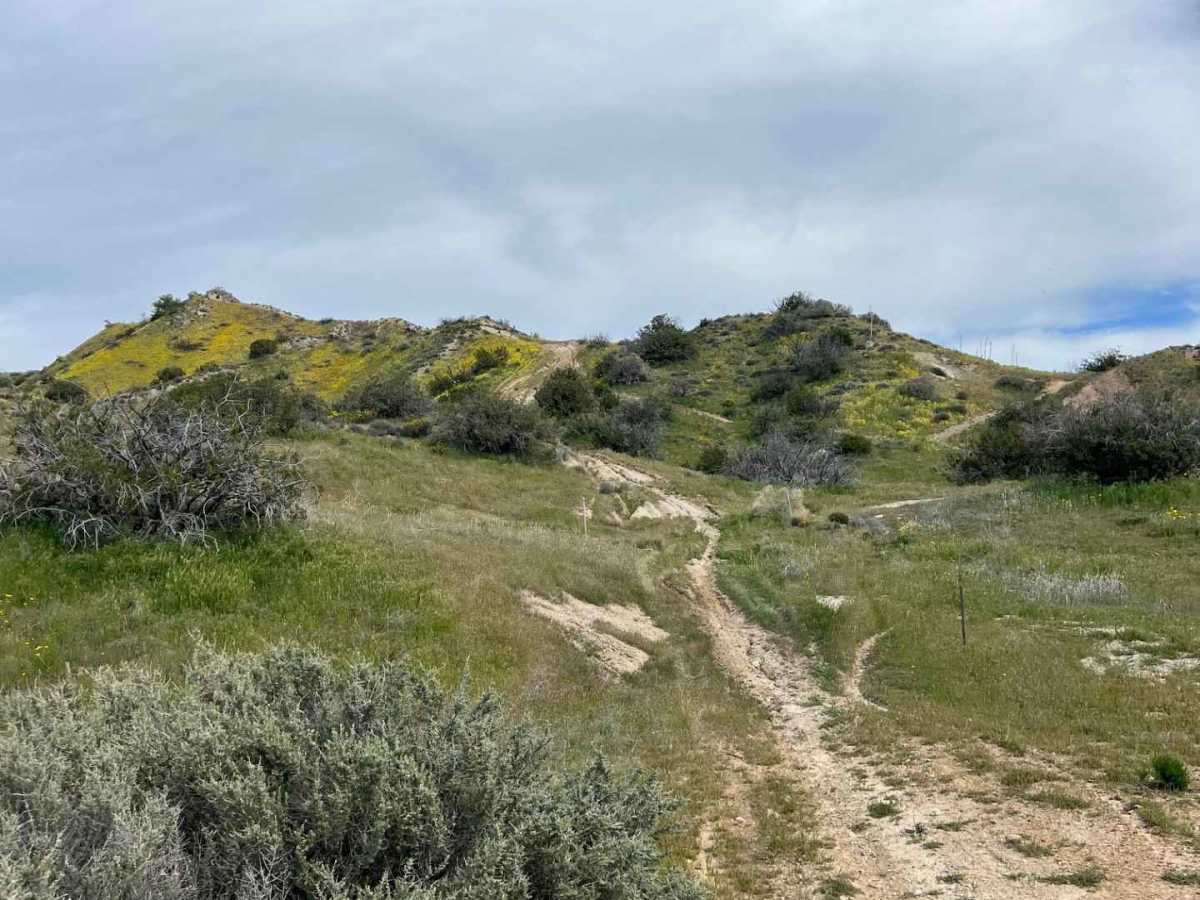 Trail 18 Singletrack  photo 2