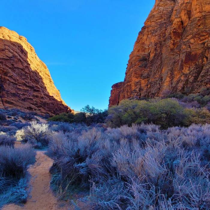 Near Padre Canyon Trail