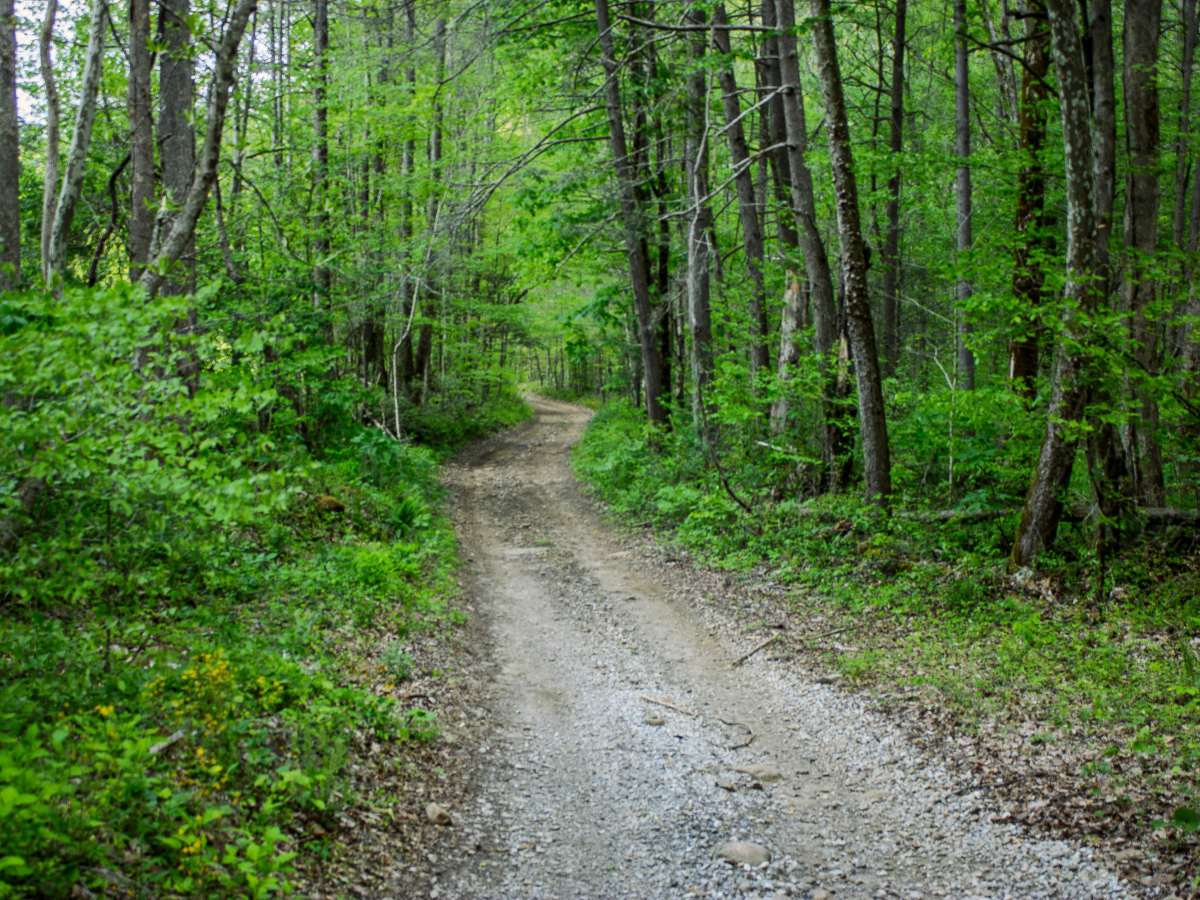 Patterson Road photo 4
