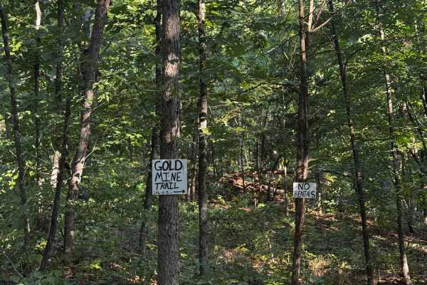 Gold Miner Trail