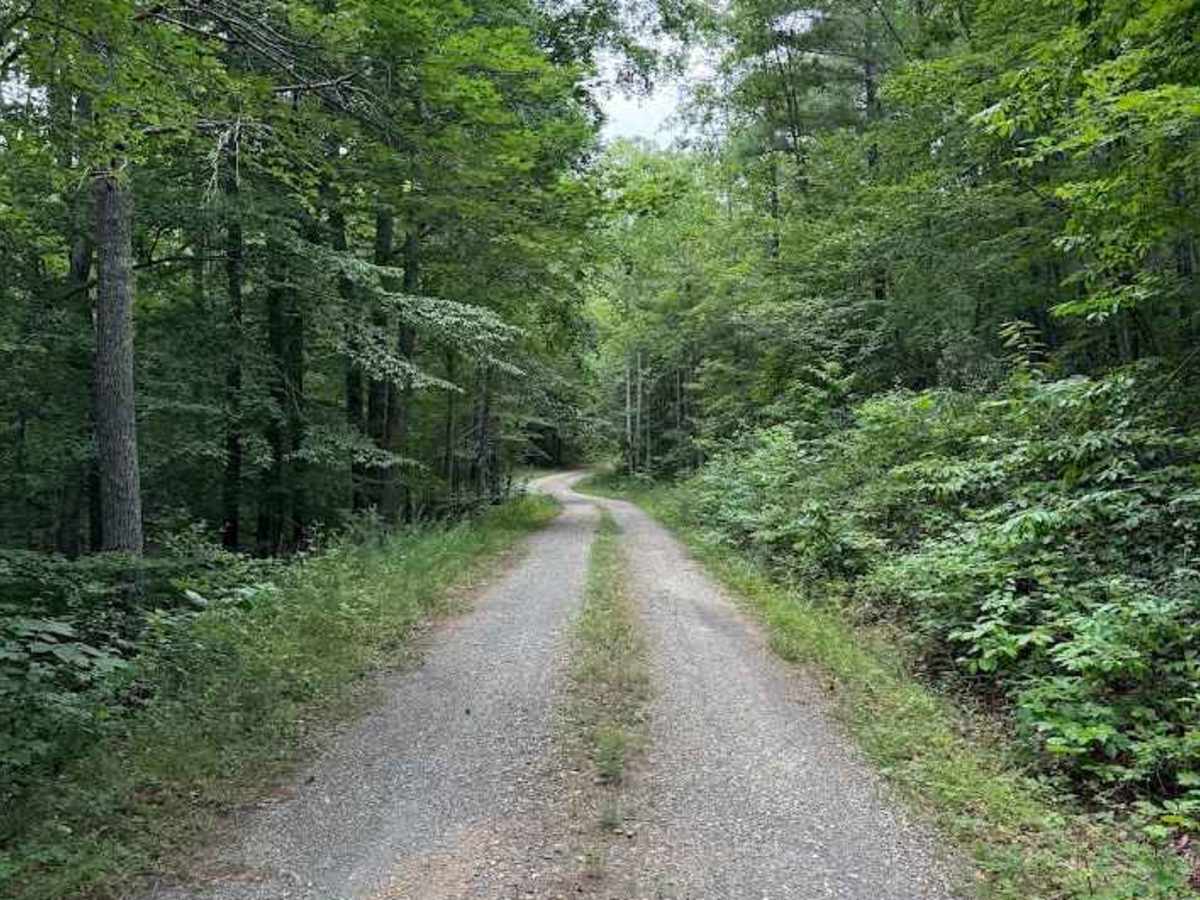 Cedar Bridge Hollow photo 3