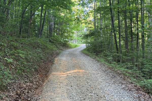 Beasley Knob North Entrance  - FS 93