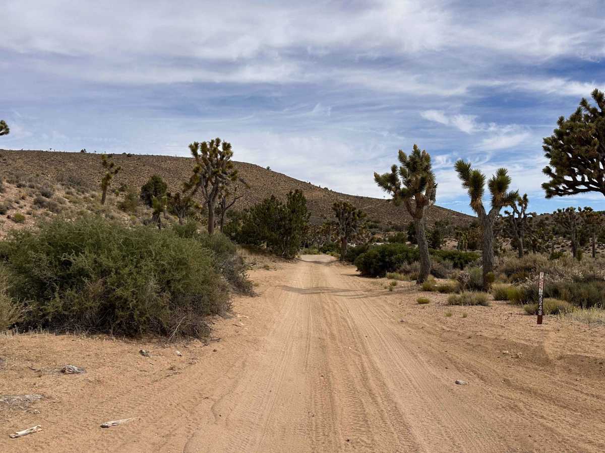 Longview Wash trail photo