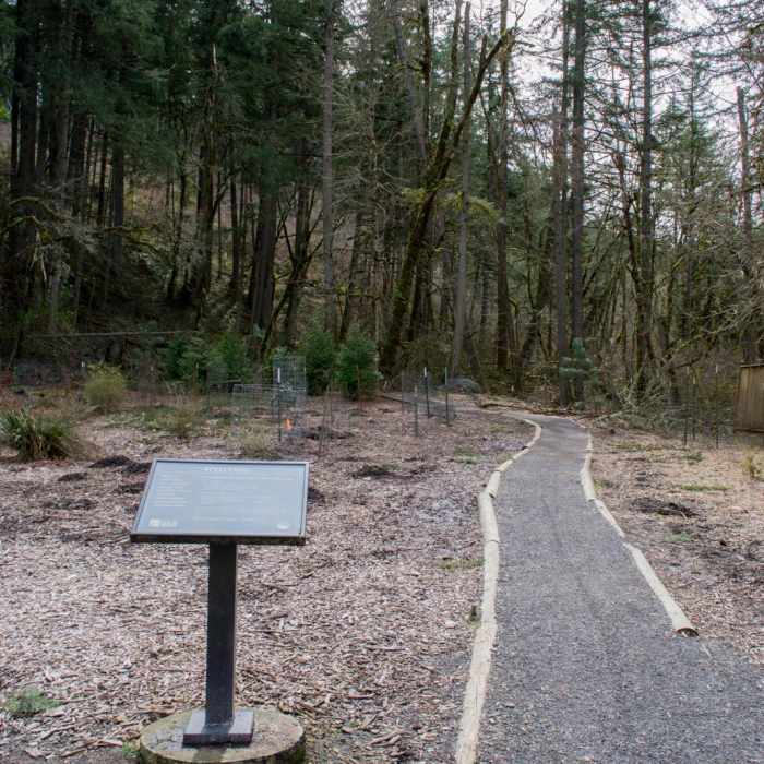 Near Ridgeline Trail System: Martin Street Trailhead to Fox Hollow Trailhead