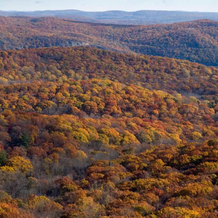 Near Manny's Swiss Army Knife Route