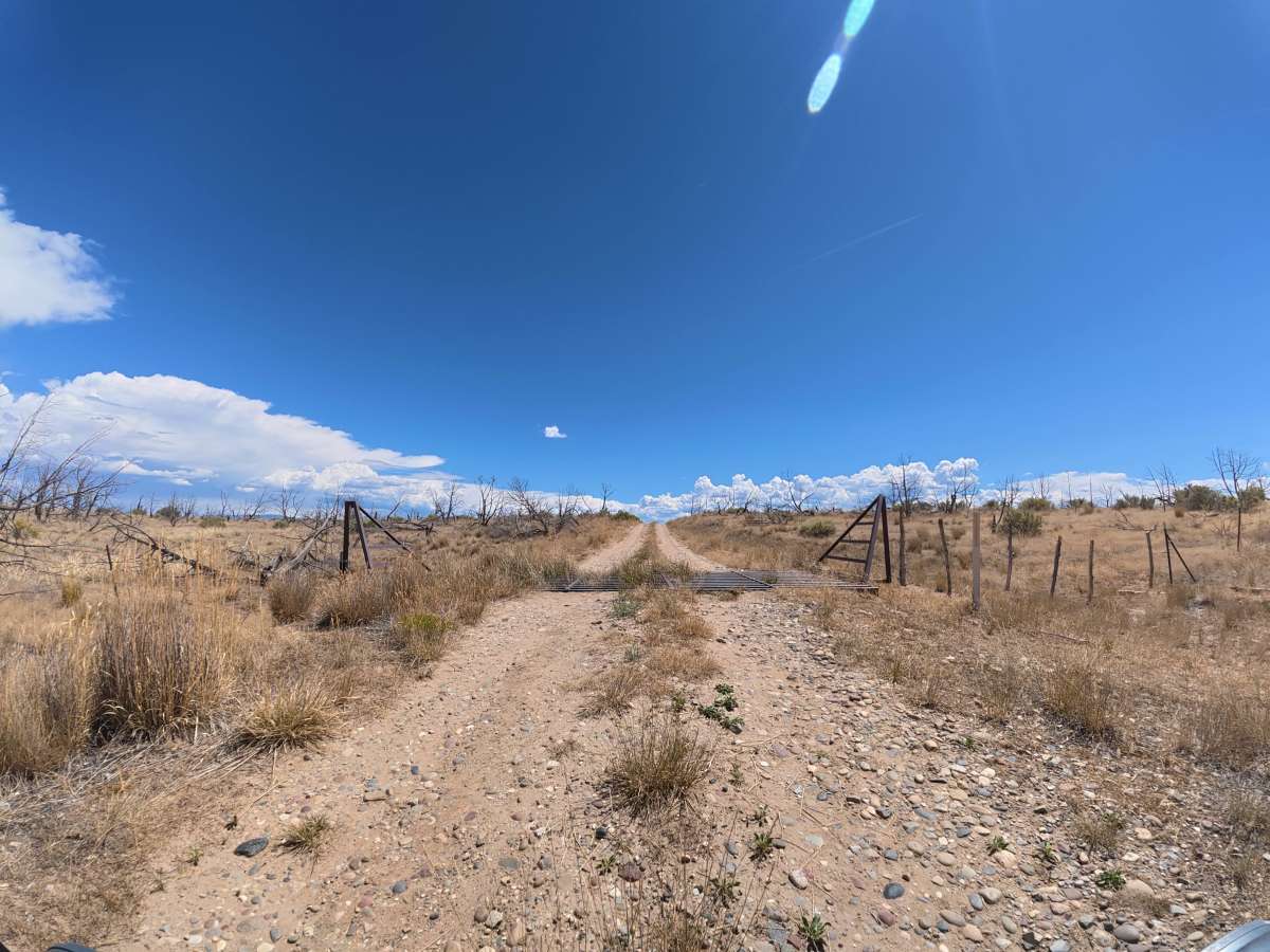 BLM 288 photo 5