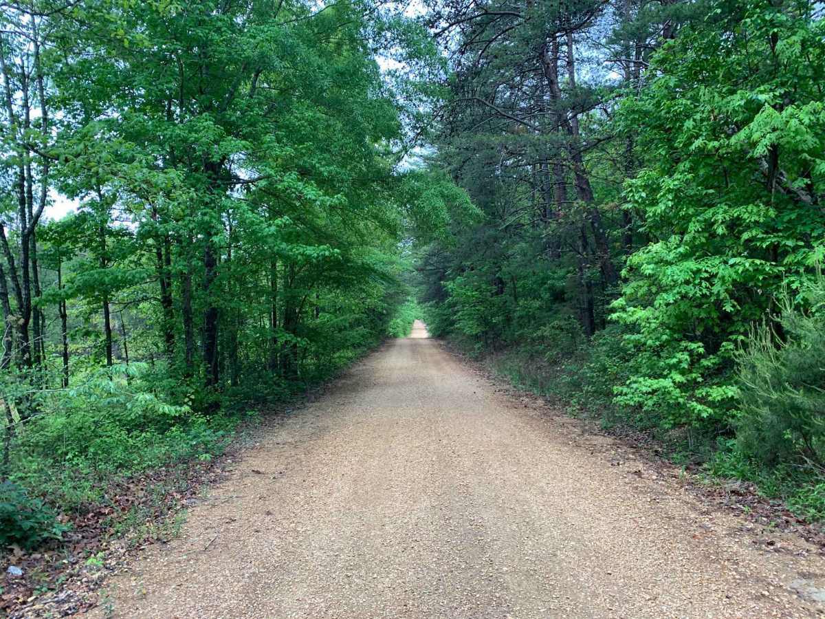 Turkey Creek Road photo 2
