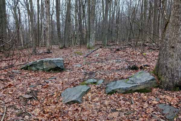 OHV 46 - Rock Run Recreation Area