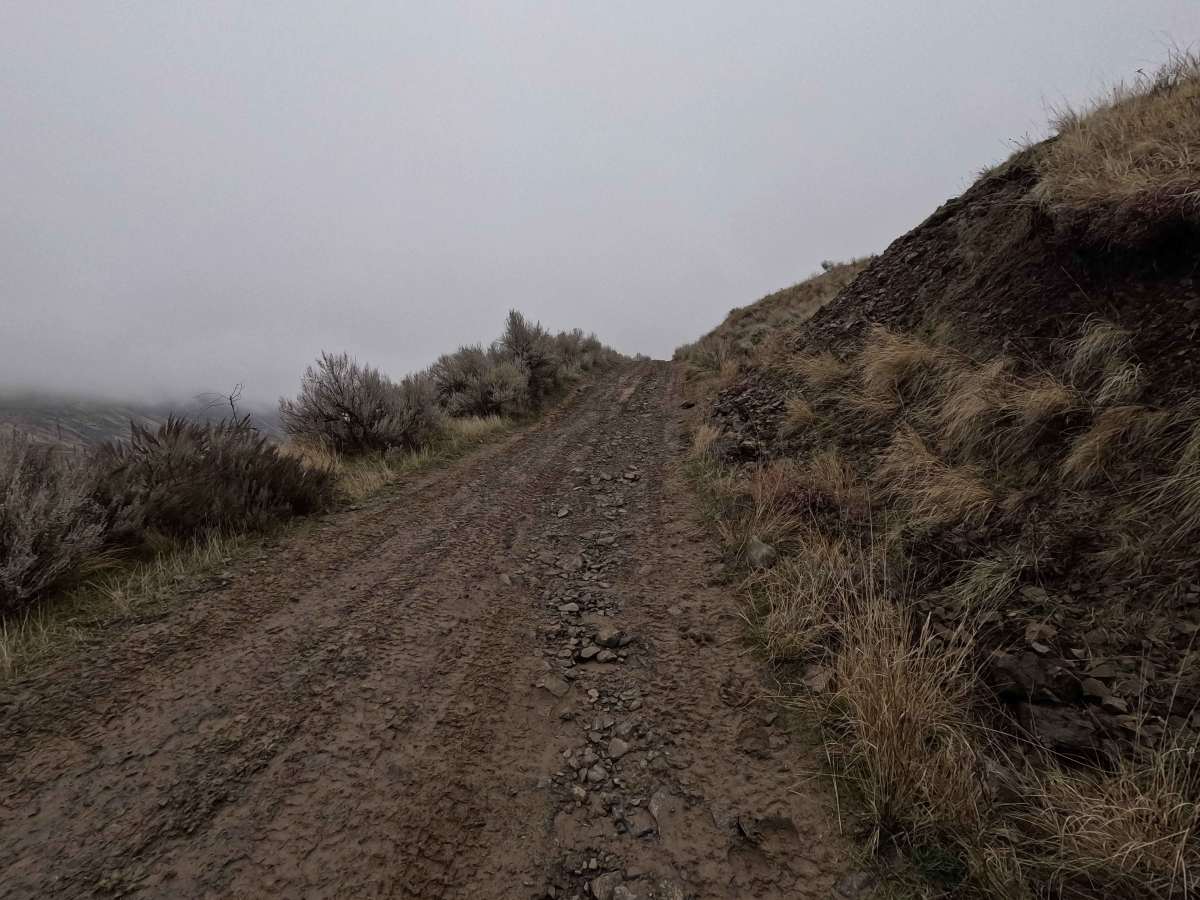Tarpiscan Road photo 5