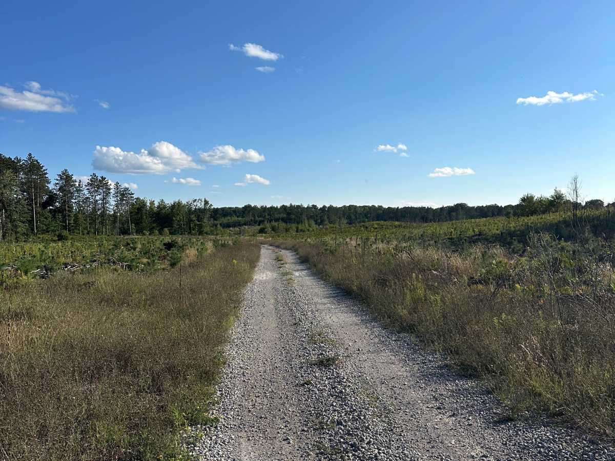 Strief Cutover  trail photo