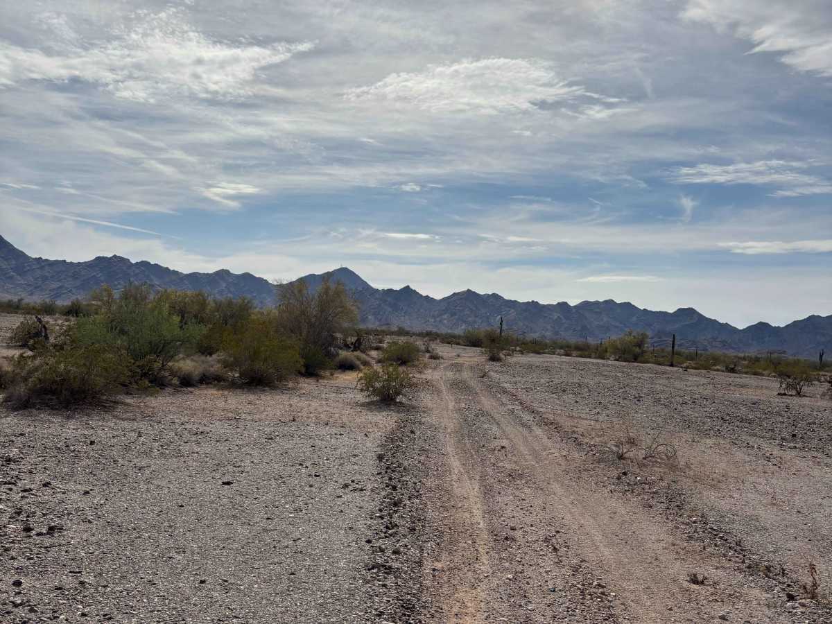 BLM 0141 photo 4