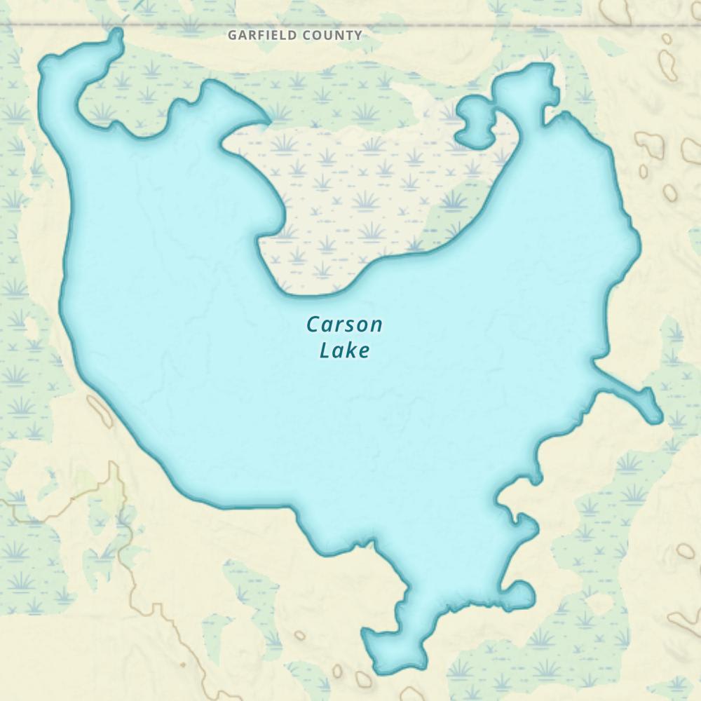 Carson Lake photo