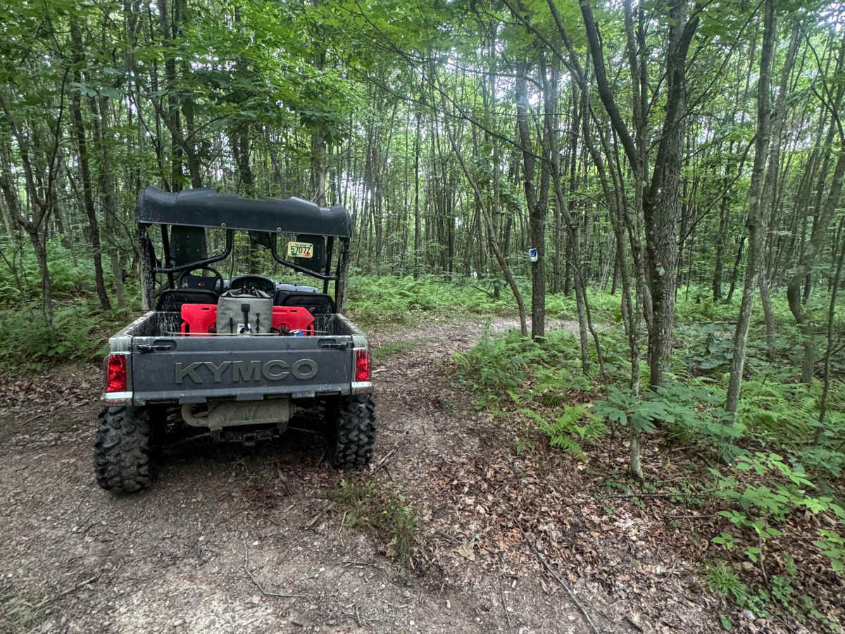 Trail 85 trail photo