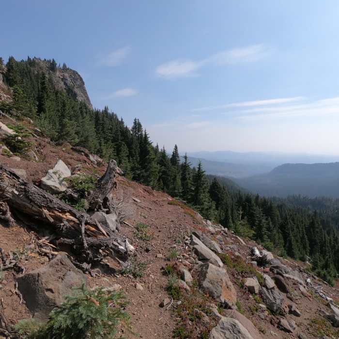 Near Shirley Lake Trail #4003.1