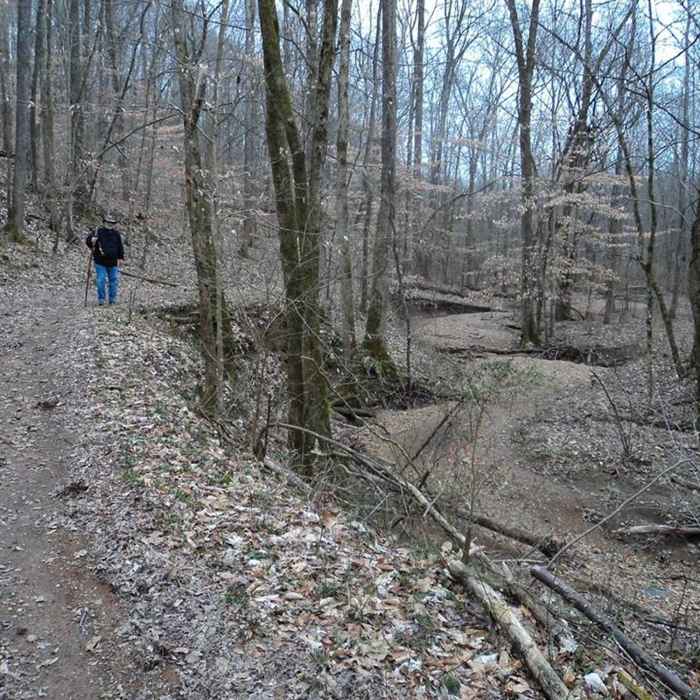 Near Big East Fork Reserve Trail