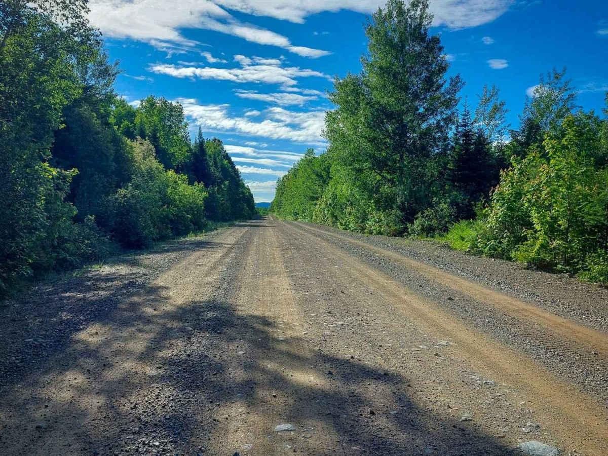 Knoll Spruce River Road photo 5