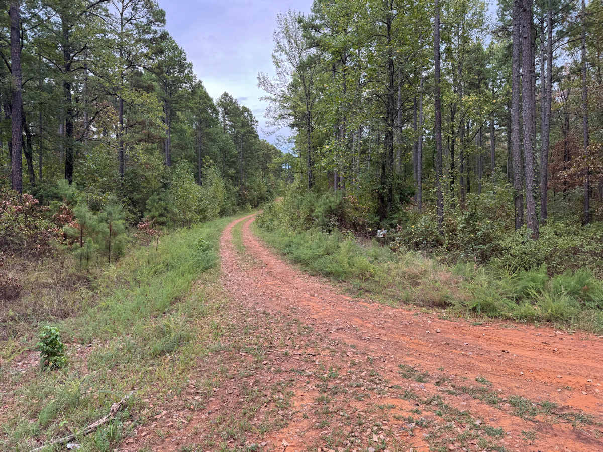 Buzzard trail photo