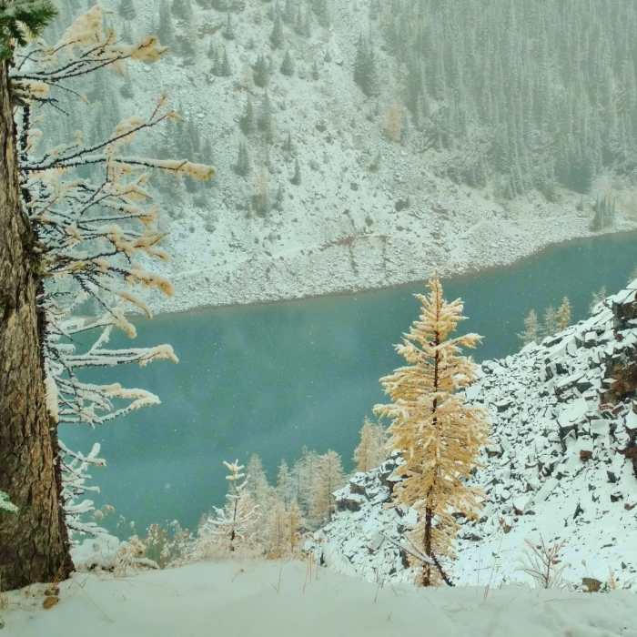 Near Big Beehive Trail