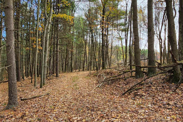 OHV 5 - Rock Run Recreation Area