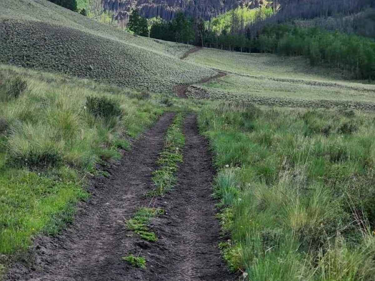 Lost Trail Road photo 2