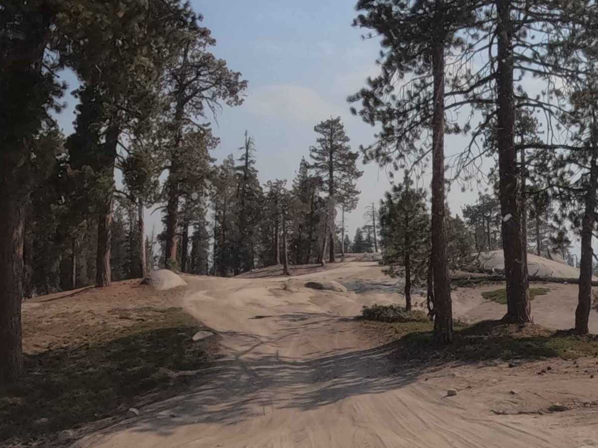String - FS 25E210  trail photo