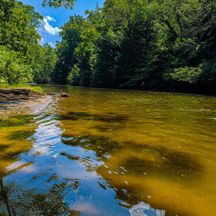 Looking up the river Near Mohican Loop