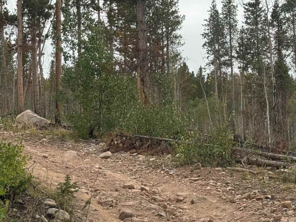 Carter Creek East photo 4