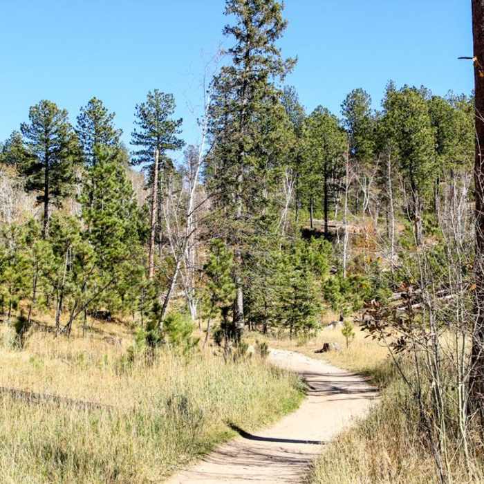 Near Black Elk Peak Near Black Elk Peak