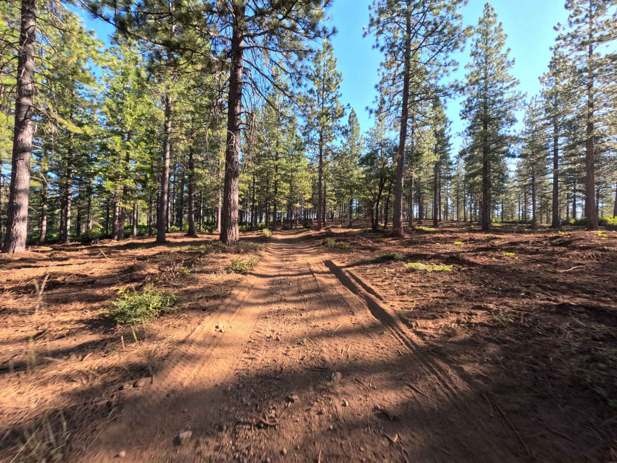 FS 17EV53 photo 6