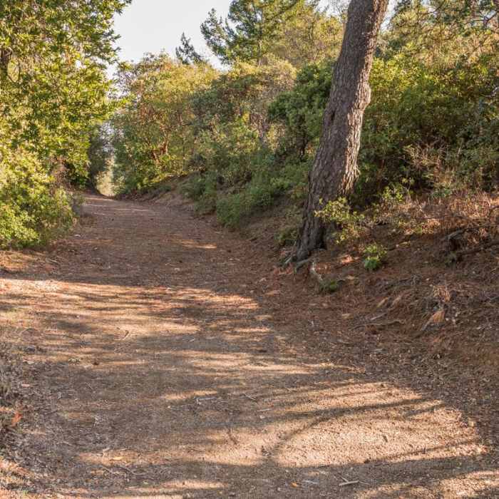 Near Knibbs Knob Near Knibbs Knob