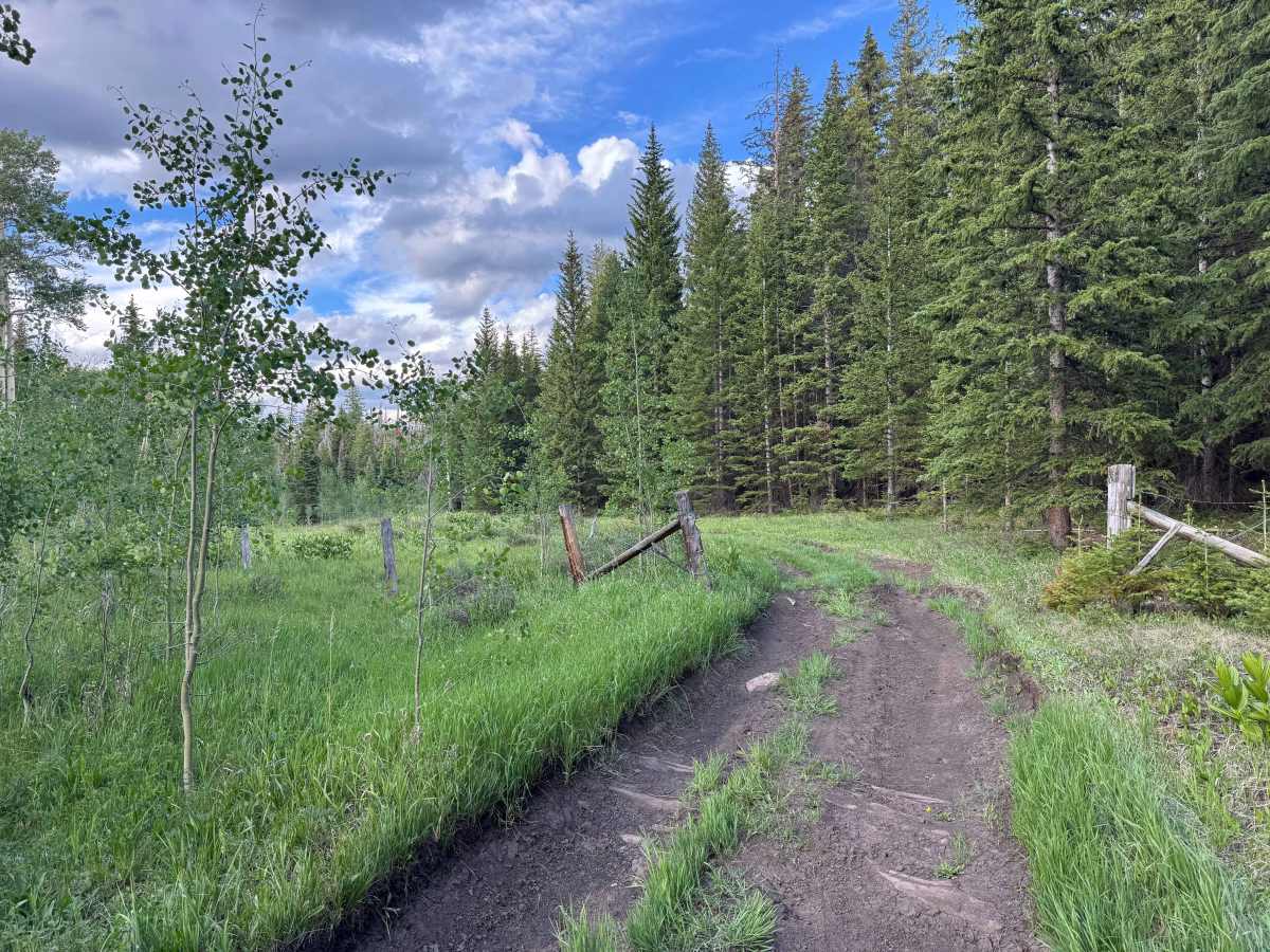 FS 435 trail photo