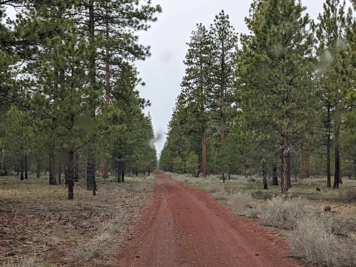 Black Butte Backdoor - NF1012-500 photo 6