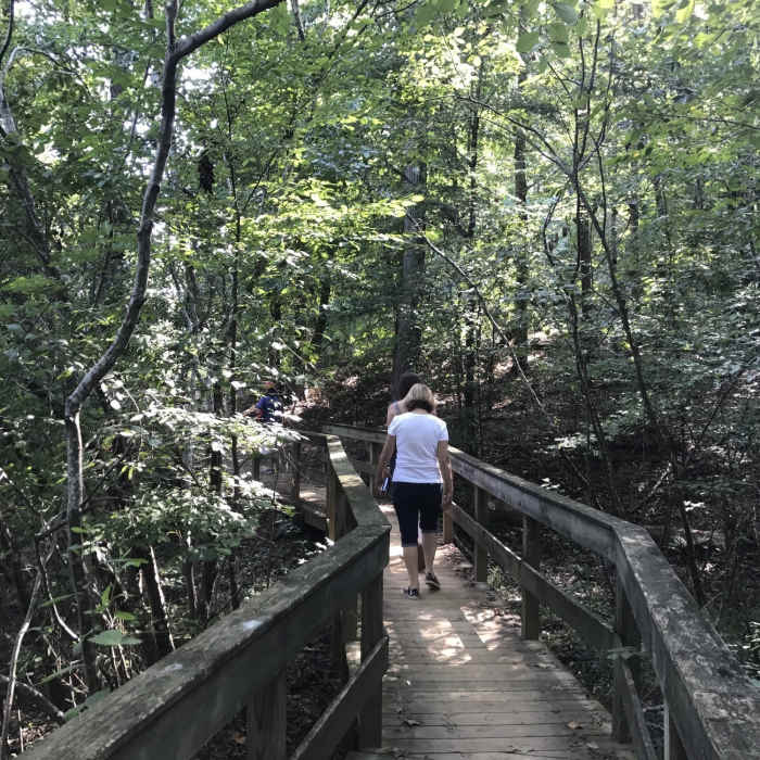 Near Lake Haigler Loop