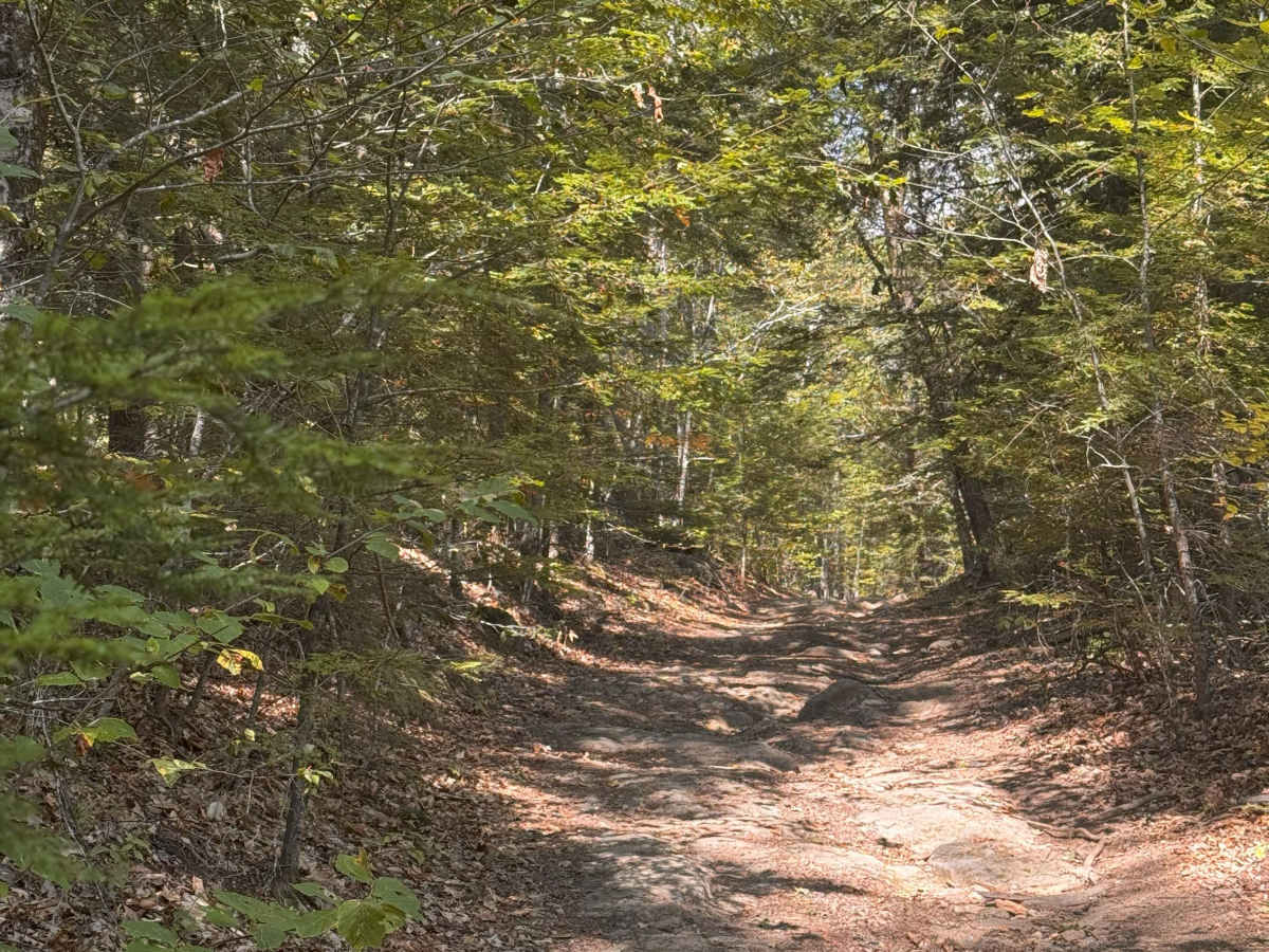 Mountain Road photo 2
