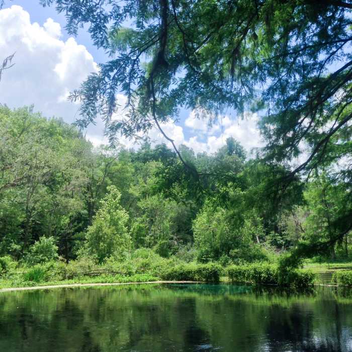 Ichetucknee Springs State Park Near Ichetucknee Springs State Park
