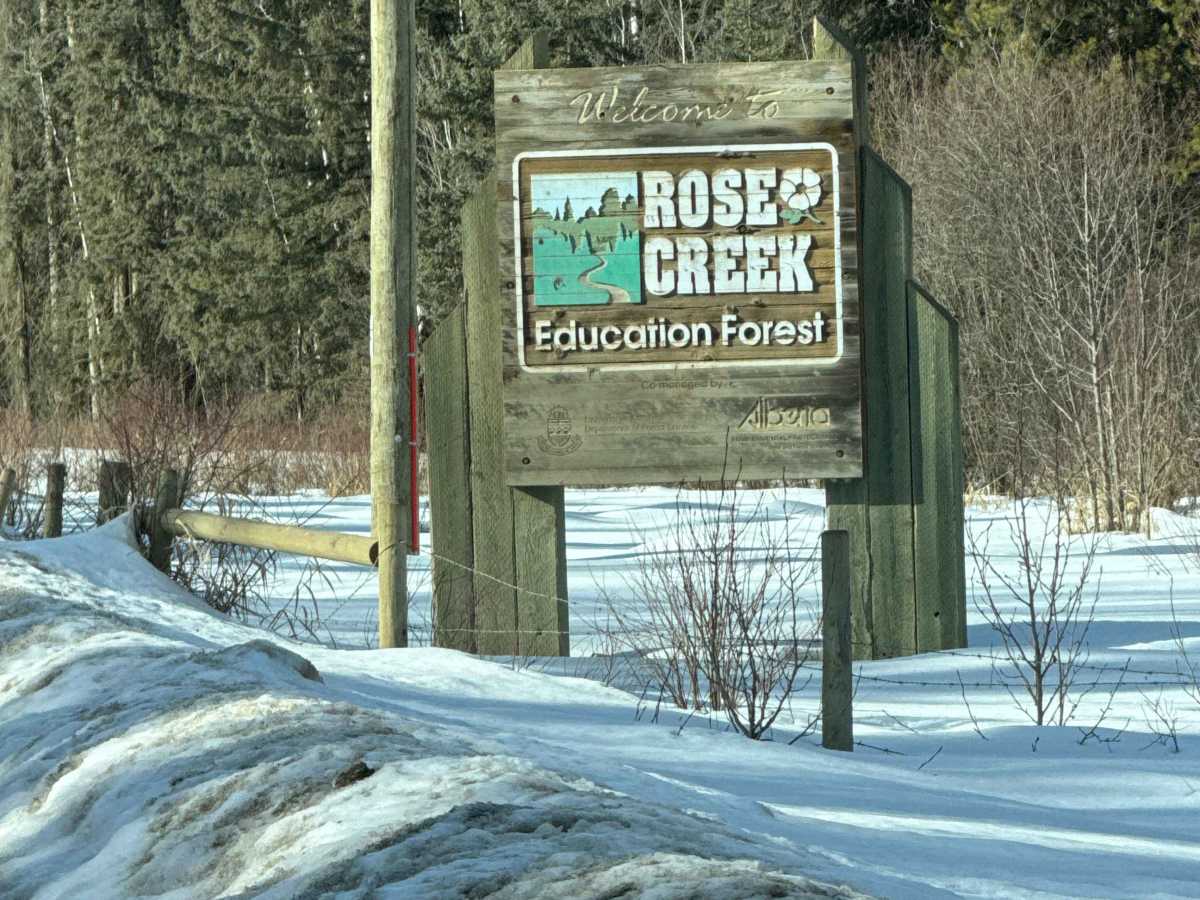 Rose Creek trail photo