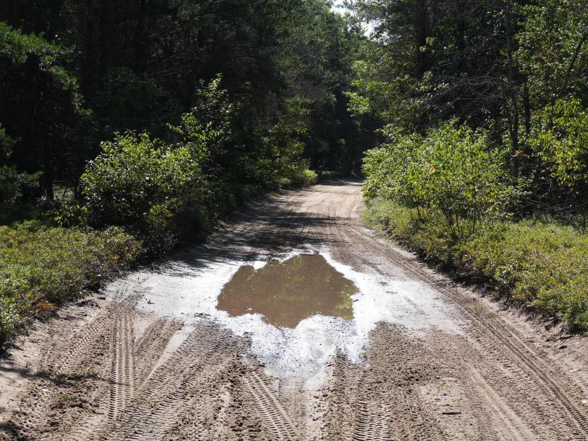 Rollway ORV Trail photo 5