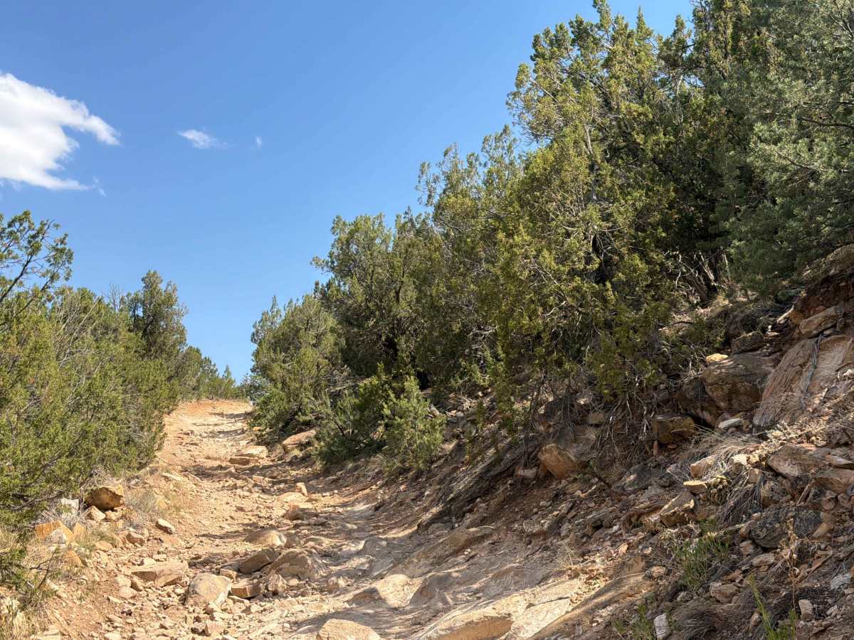 BLM 6101 trail photo