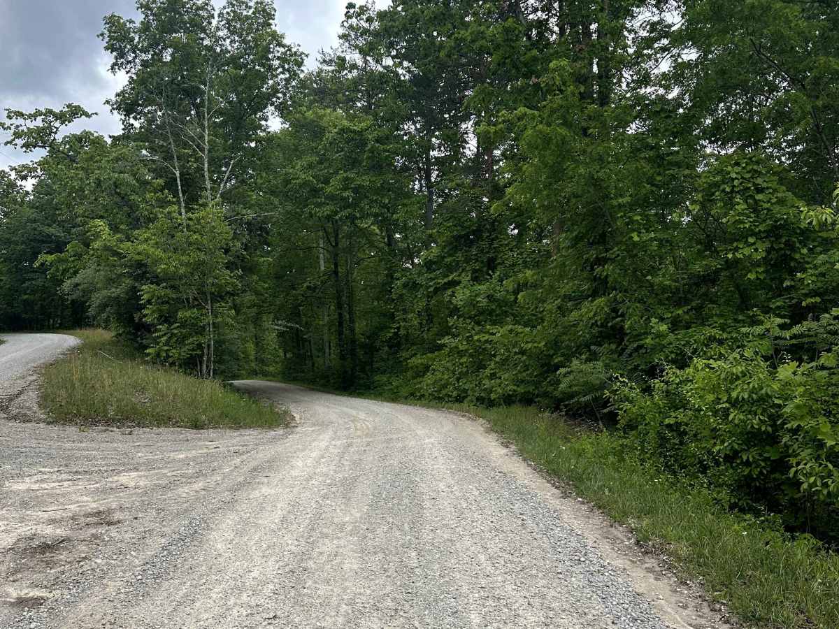 Bell Farm Road - FS 564 photo 6