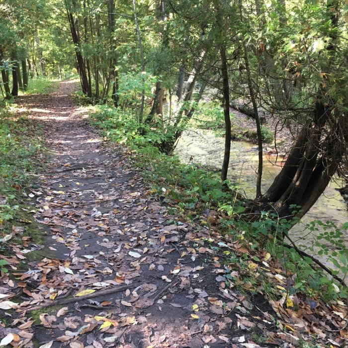 Fall is just around the corner. Near Bairds Creek Orange Loop