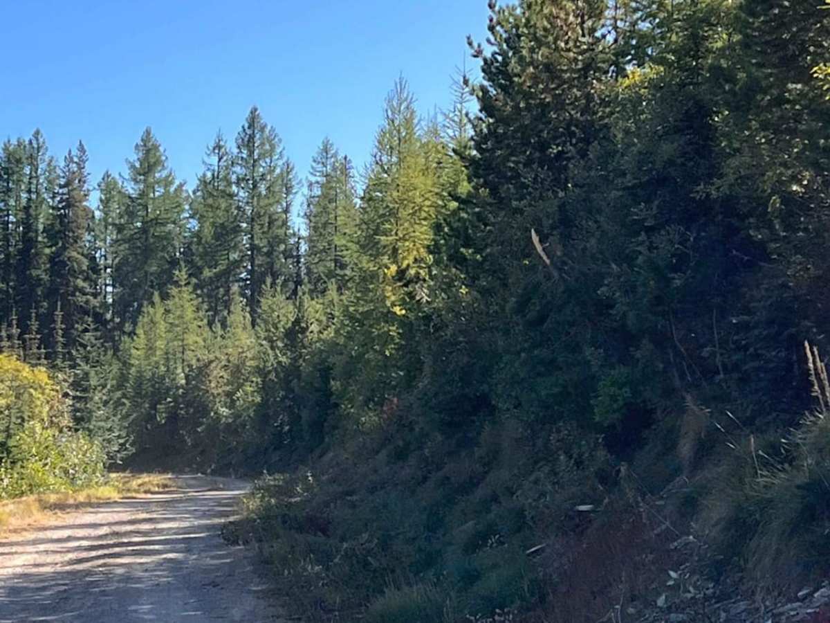 Stevens Ridge photo 6